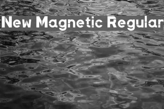 New Magnetic Regular Example 3