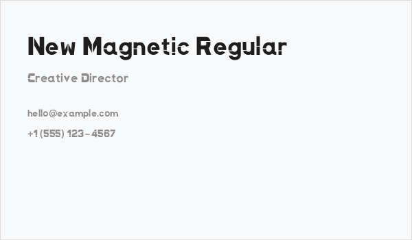 New Magnetic Regular Business Card