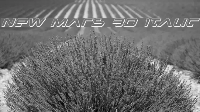 New Mars 3D Italic Font examples