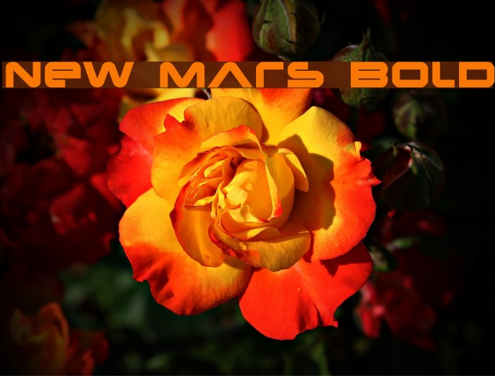 New Mars Bold Font examples