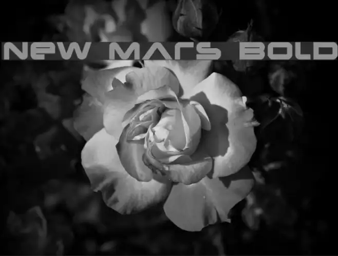 New Mars Bold Example 2