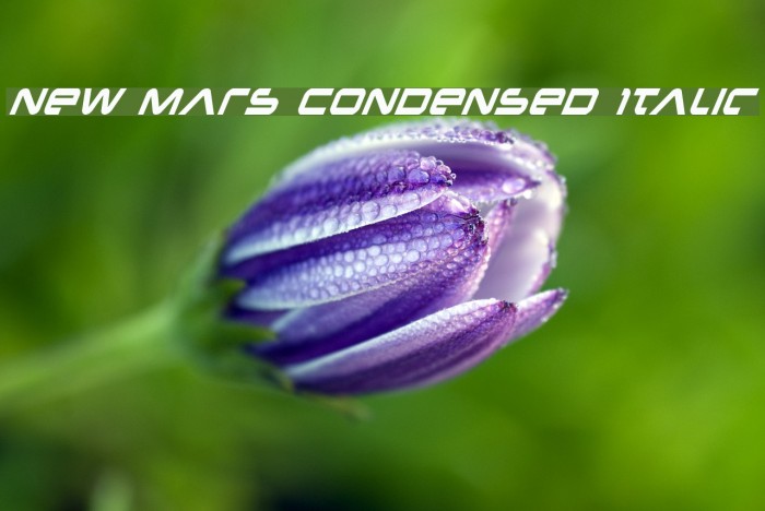 New Mars Condensed Italic Font examples