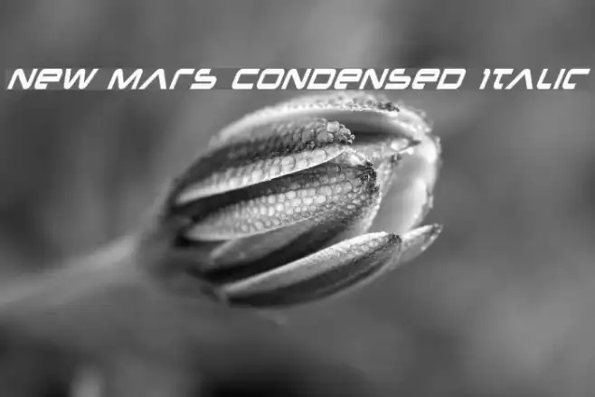 New Mars Condensed Italic Example 1