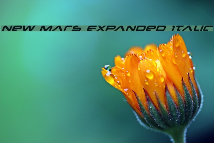 New Mars Expanded Italic Font examples