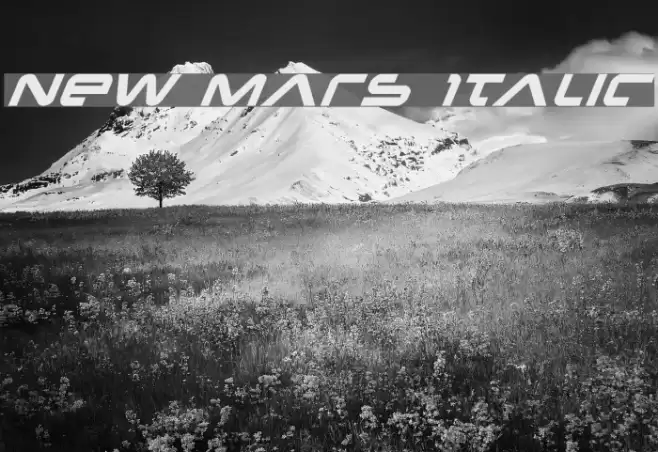New Mars Italic Font examples