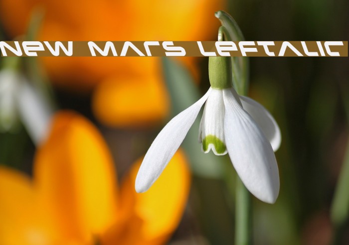 New Mars Leftalic Font examples