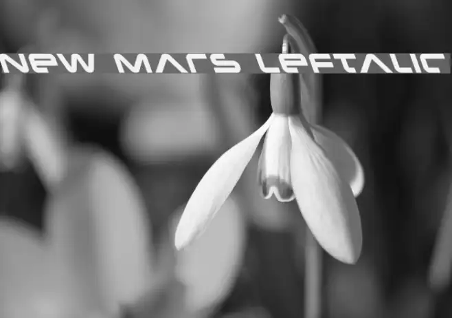 New Mars Leftalic Example 3