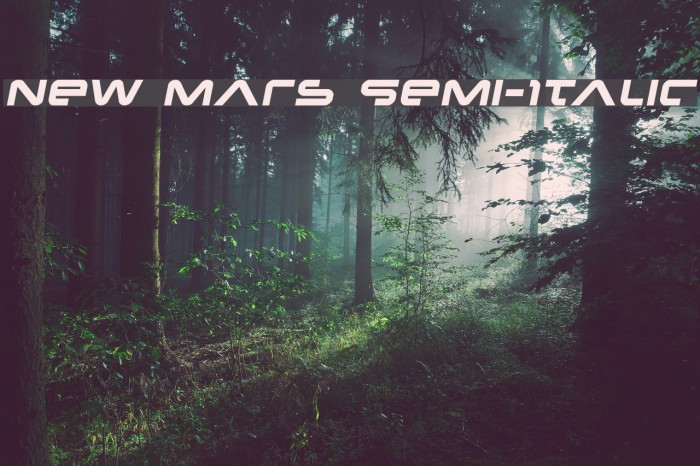New Mars Semi-Italic Font examples