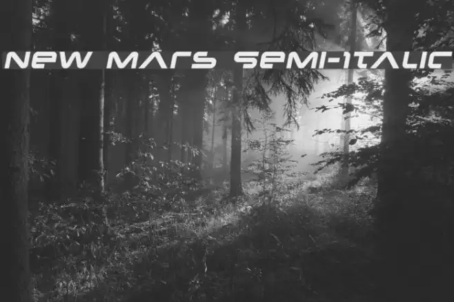 New Mars Semi-Italic Example 2