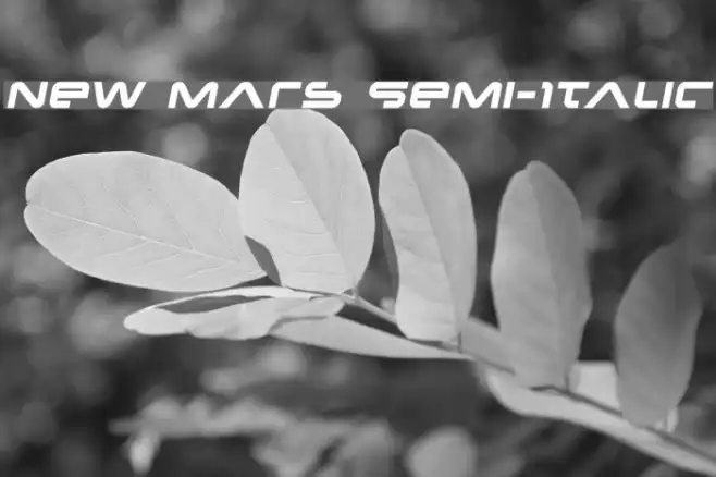 New Mars Semi-Italic Example 3