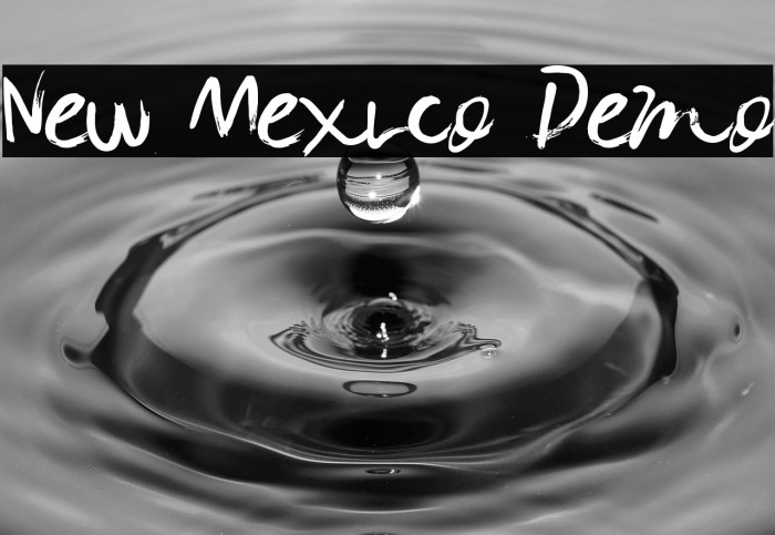 New Mexico Demo Example 2