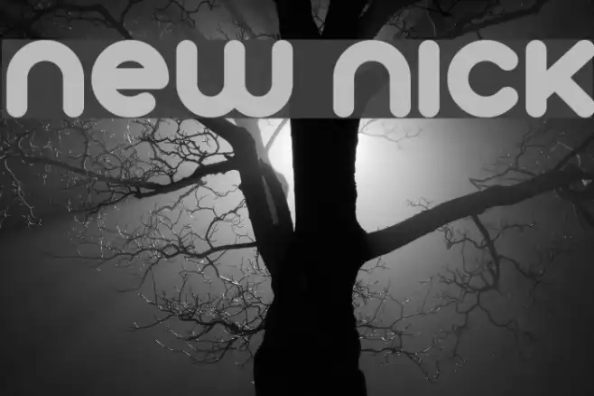 New Nick Example 2