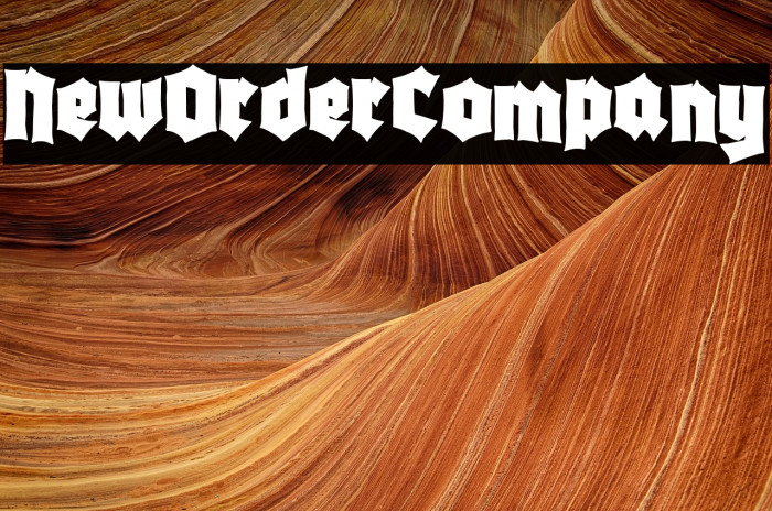 New Order Company Example 1