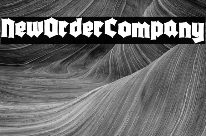 New Order Company Example 1
