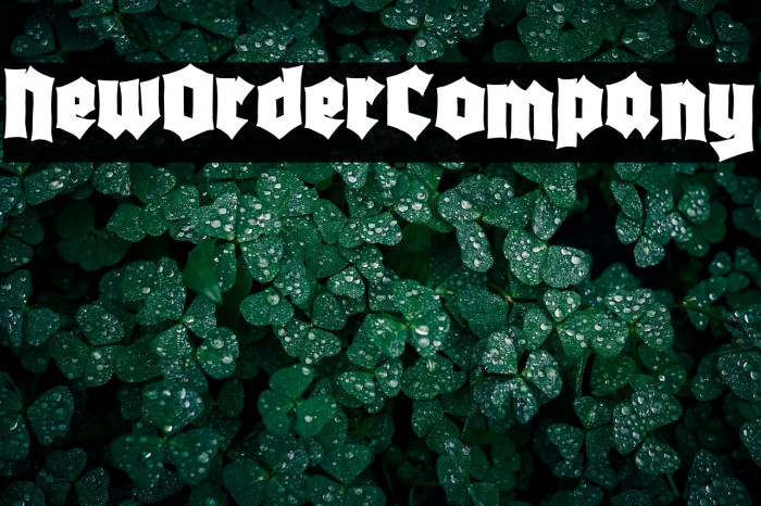 New Order Company Example 2