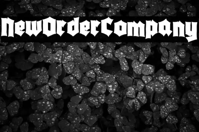 New Order Company Example 2