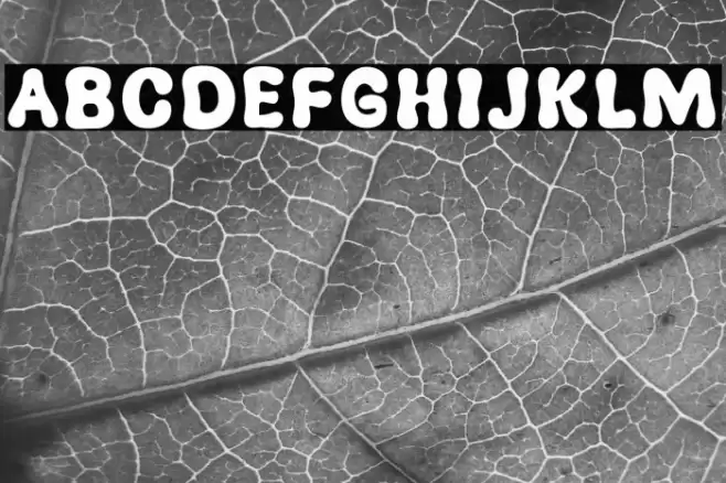 New Pizza Schriftart examples