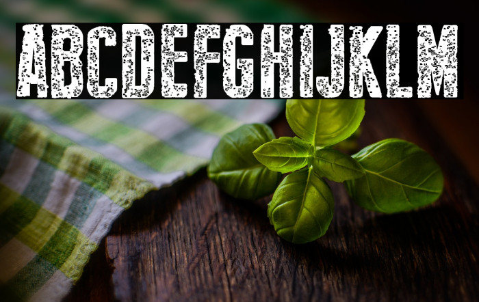 New Press Eroded Bold Example 3