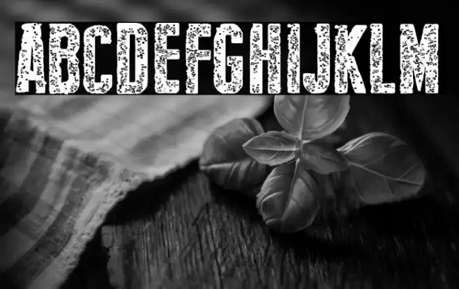 New Press Eroded Bold Font examples