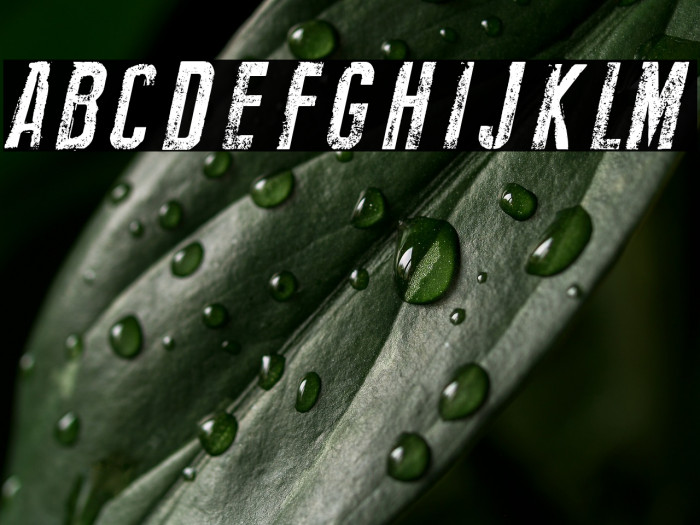 New Press Eroded Italic Example 1