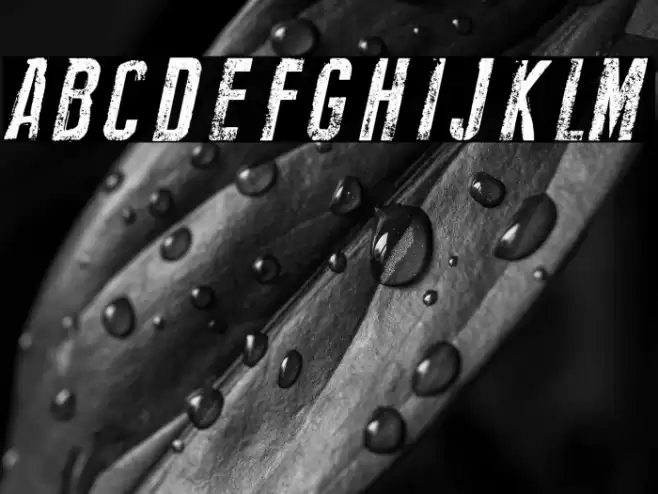 New Press Eroded Italic Font examples