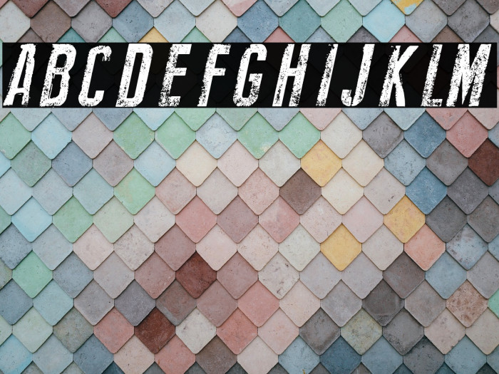 New Press Eroded Italic Example 2