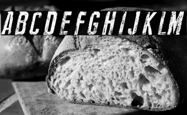 New Press Eroded Italic Font examples