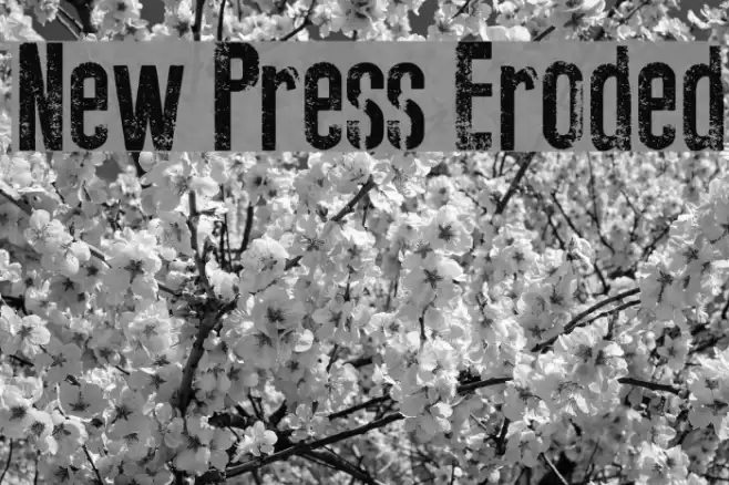 New Press Eroded Fuentes examples