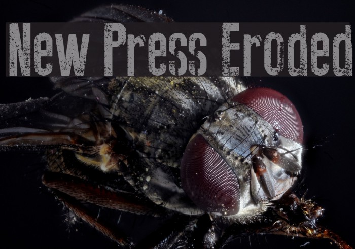 New Press Eroded Font examples