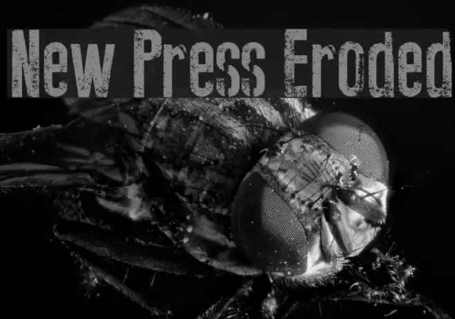New Press Eroded Fuentes examples