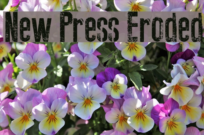 New Press Eroded Font examples