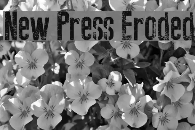 New Press Eroded Fuentes examples