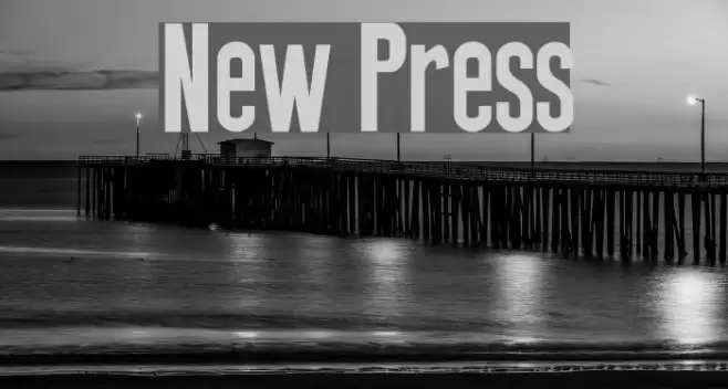 New Press Polices examples