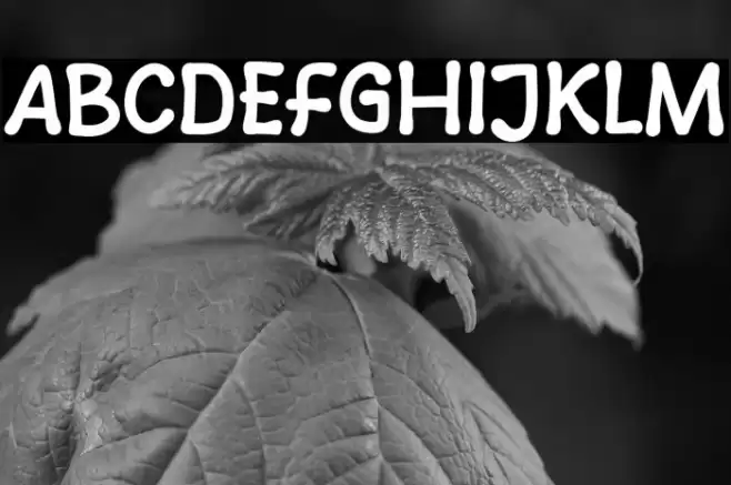 New Ramen Font examples