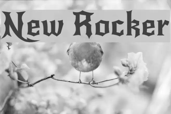 New Rocker Font examples