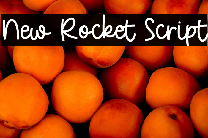 New Rocket Script Example 2