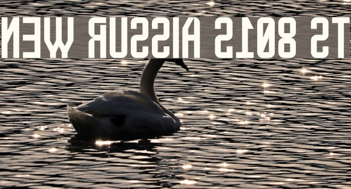 New Russia 2108 St Example 1