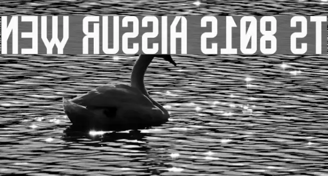 New Russia 2108 St Font examples