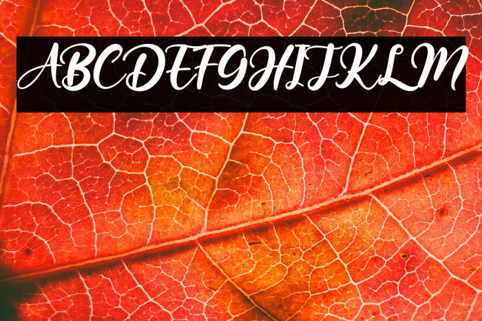 New Seaffon Example 1