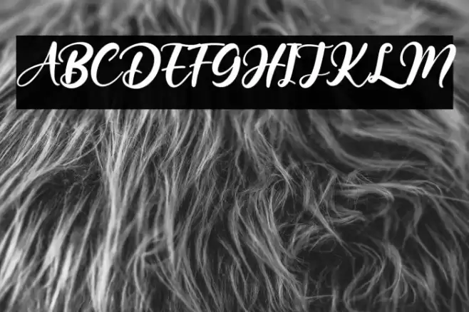 New Seaffon Font examples