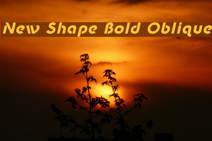 New Shape Bold Oblique Font examples