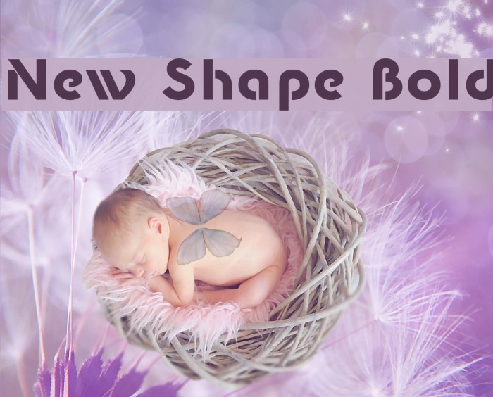 New Shape Bold Example 1