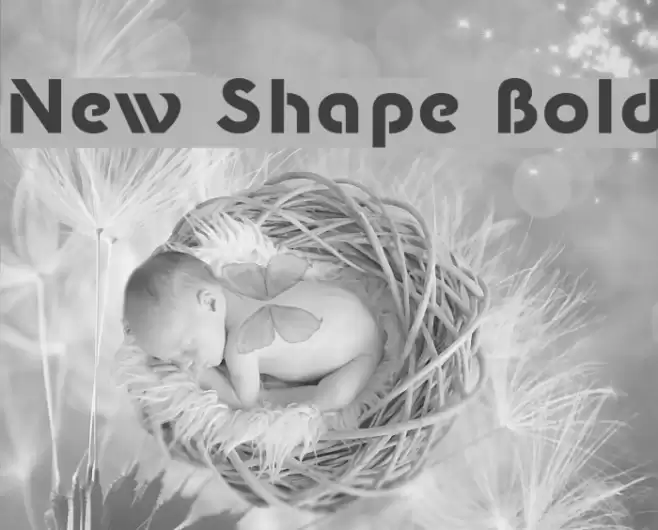 New Shape Bold Font examples
