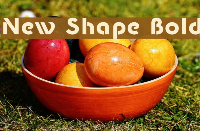 New Shape Bold Example 2