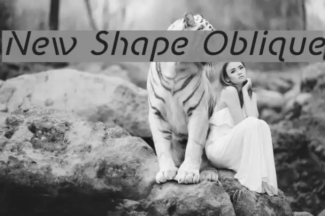 New Shape Oblique Example 1