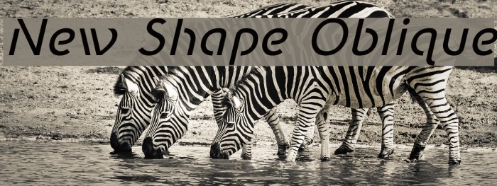 New Shape Oblique Font examples