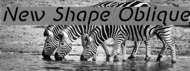 New Shape Oblique Example 3