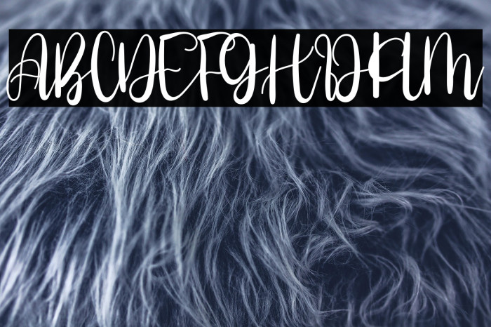 New Sinergetic Example 3