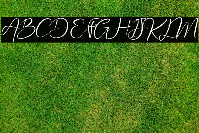 New Smashter Example 2