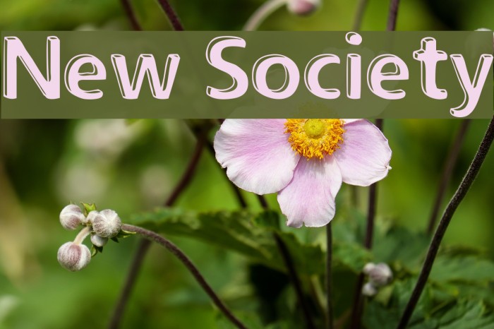 New Society Font examples